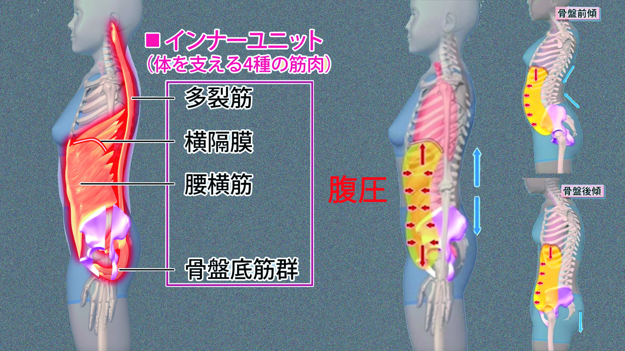 Neutral Position Https Helinx Jp
